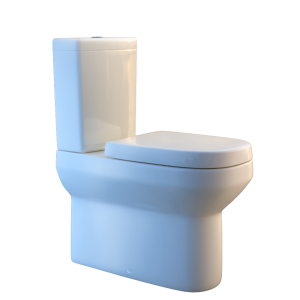 Thames CC Back to Wall Water Closet