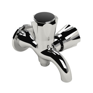 Twin Bib Tap (Regular)