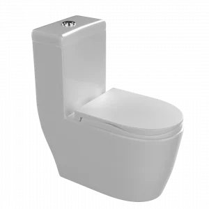 Volga Single Piece Water Closet or Commode